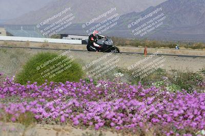 media/Feb-04-2023-SoCal Trackdays (Sat) [[8a776bf2c3]]/Turn 15 Inside Blooming (1050am)/